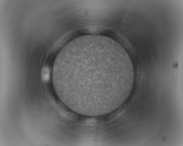 X0000112030075200908241548