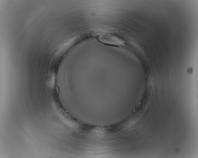 X0000112030076200908241548