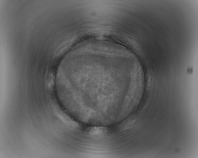 X0000112030077200908241548