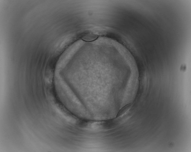X0000112030078200908241548