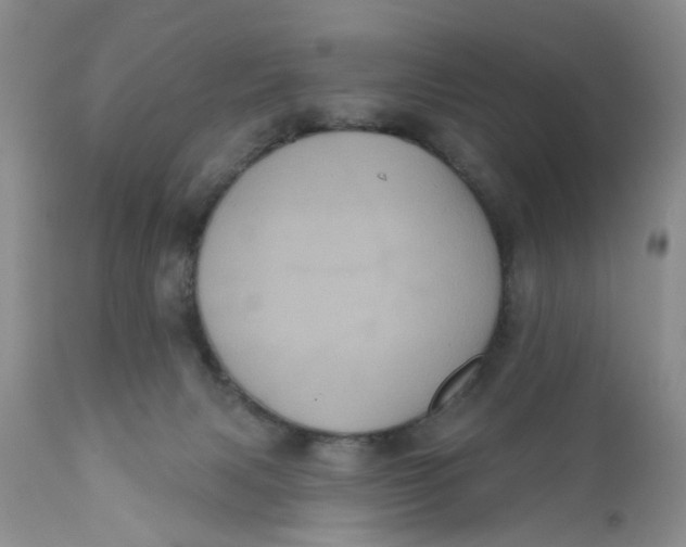 X0000112030079200908241548