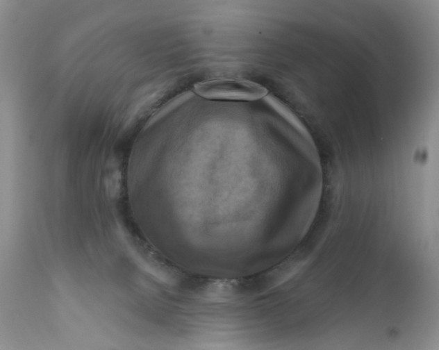 X0000112030080200908241548