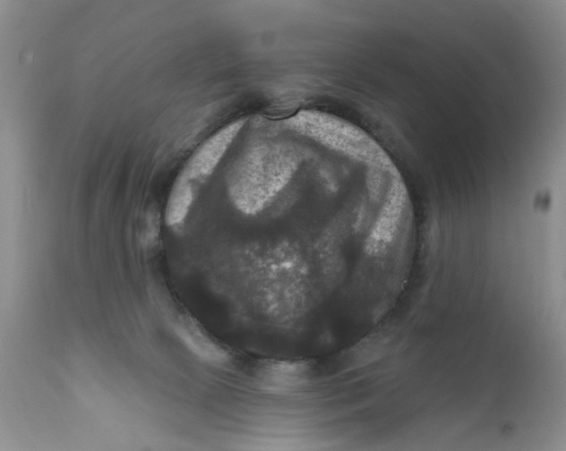 X0000112030081200908241548