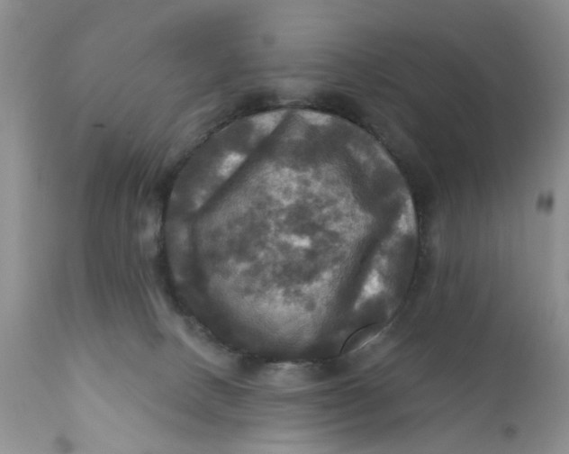 X0000112030082200908241548