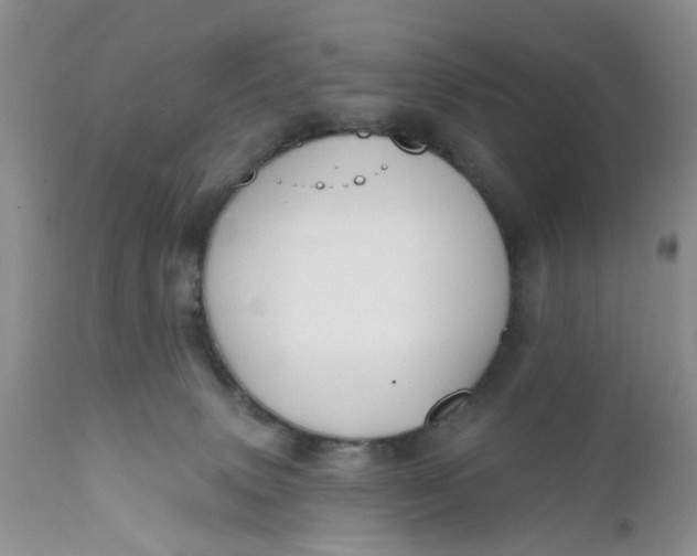 X0000112030083200908241548