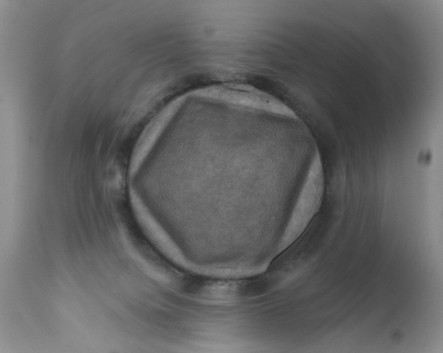 X0000112030084200908241548