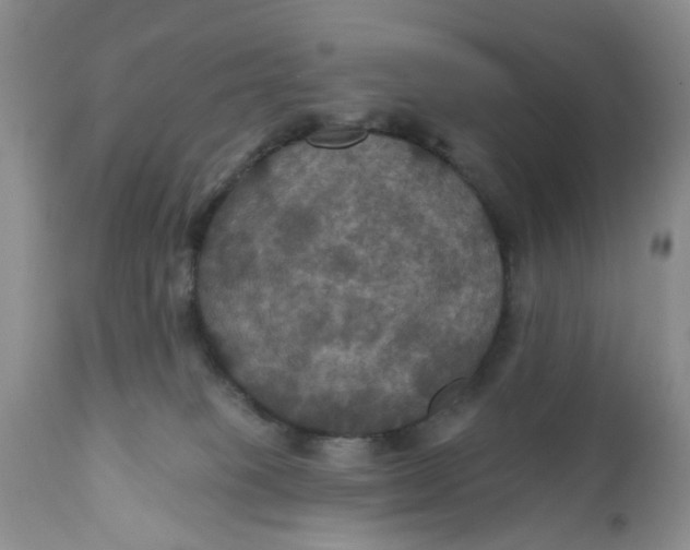 X0000112030085200908241548