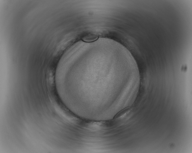 X0000112030086200908241548
