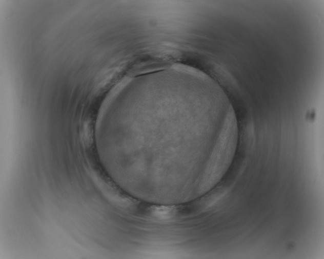 X0000112030088200908241548