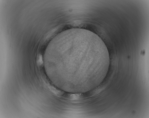 X0000112030089200908241548