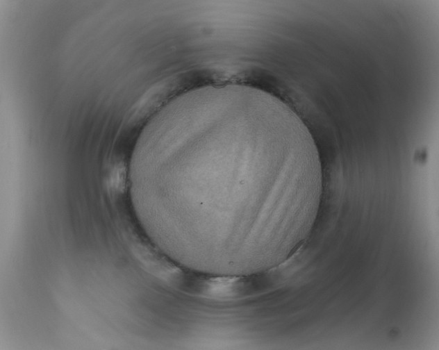 X0000112030090200908241548