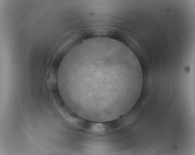 X0000112030091200908241548