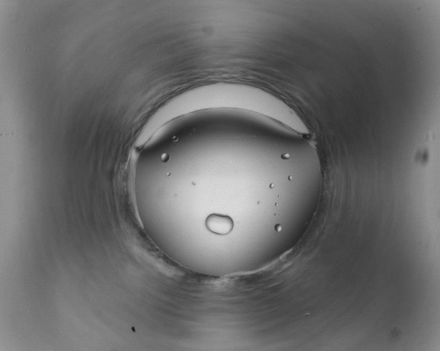 X0000112030092200908241548