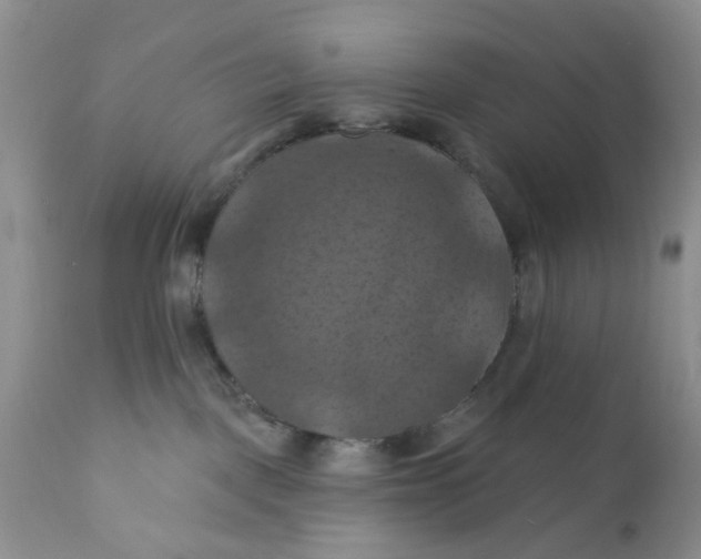 X0000112030093200908241548