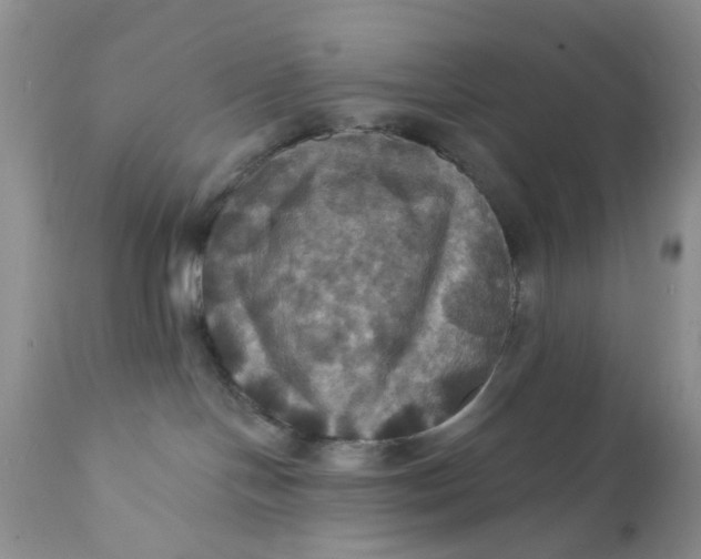 X0000112030094200908241548