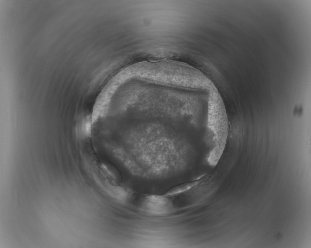 X0000112030095200908241549