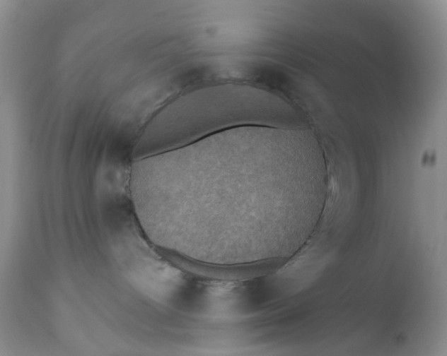 X0000112030096200908241549