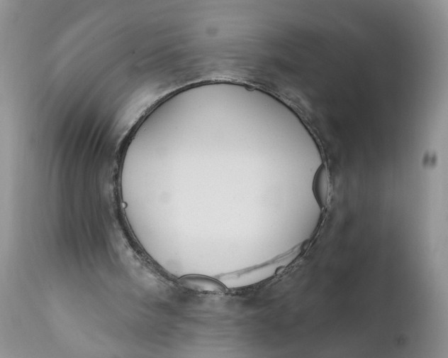 X0000112030098200908241548