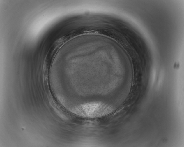 X0000112030099200908241548