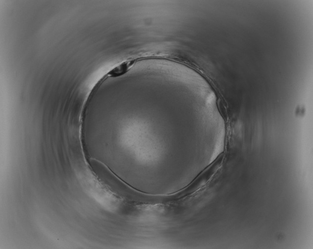 X0000112030100200908241548