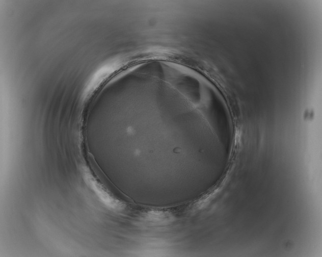 X0000112030101200908241548
