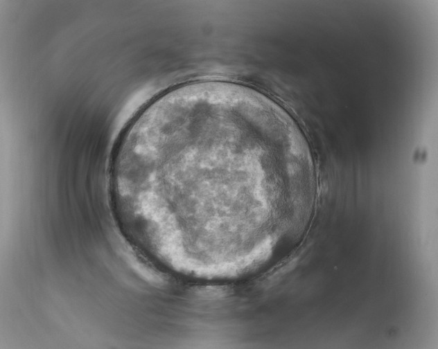 X0000112030102200908241548
