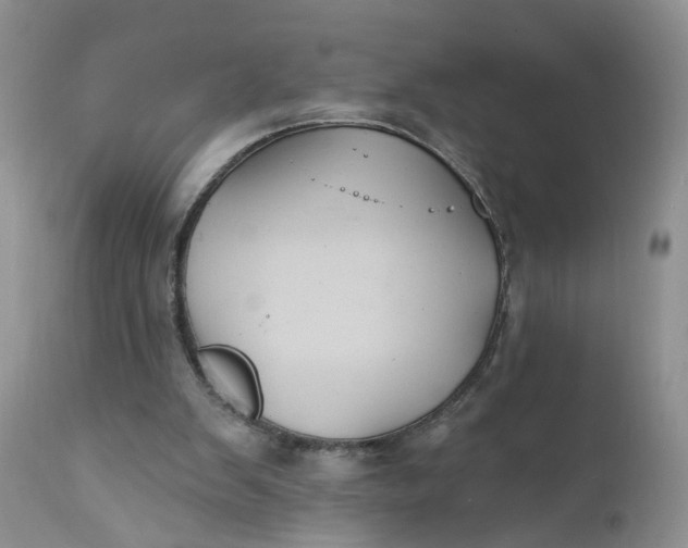 X0000112030103200908241548