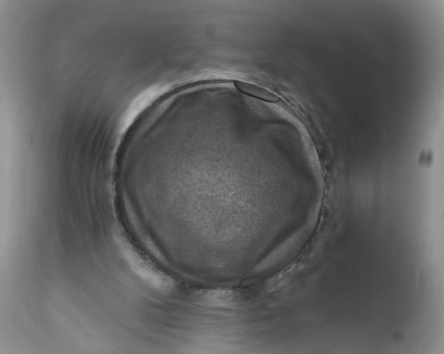 X0000112030104200908241548