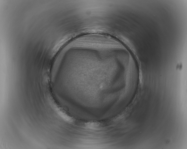 X0000112030105200908241548