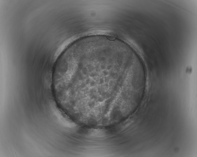 X0000112030107200908241548