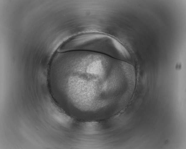 X0000112030108200908241548