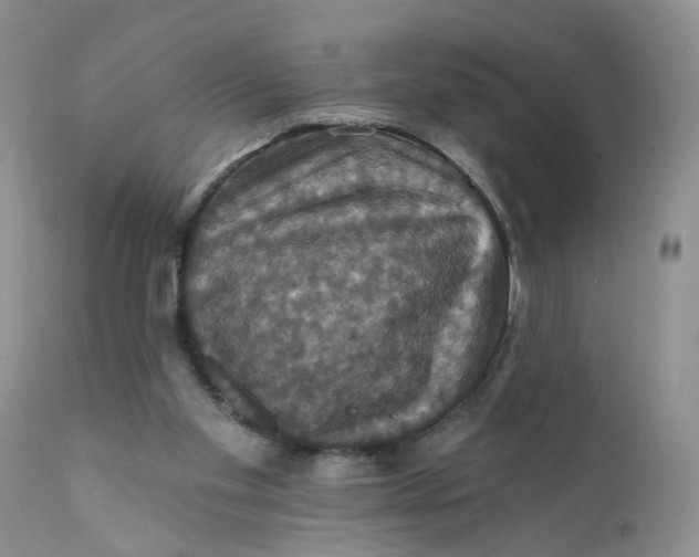 X0000112030109200908241548