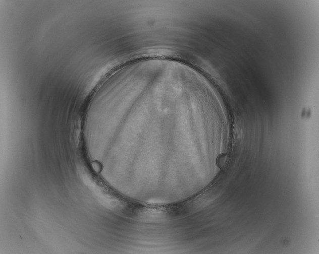 X0000112030110200908241548