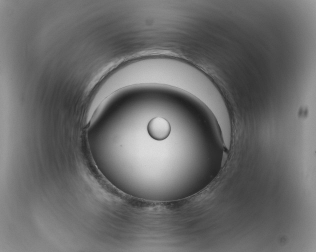 X0000112030112200908241547