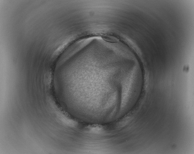X0000112030113200908241547