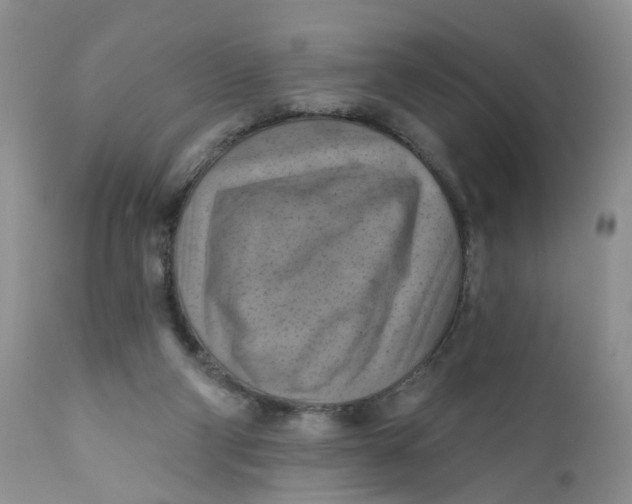 X0000112030114200908241547