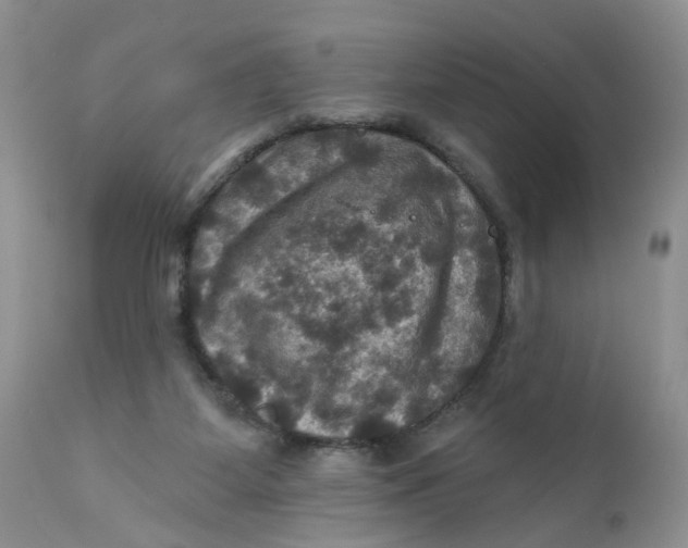 X0000112030115200908241547
