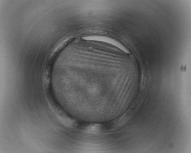X0000112030116200908241547