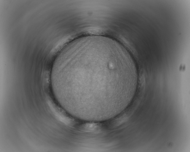 X0000112030117200908241547