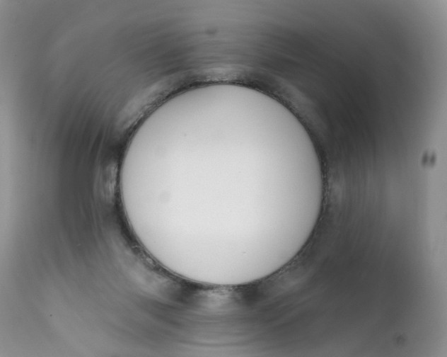 X0000112030118200908241547