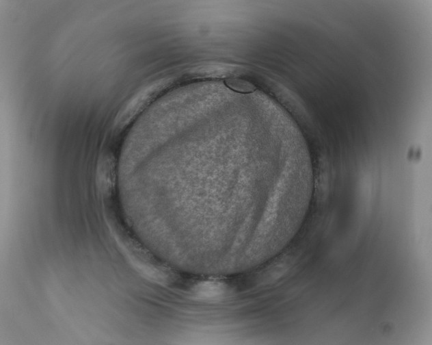 X0000112030119200908241547