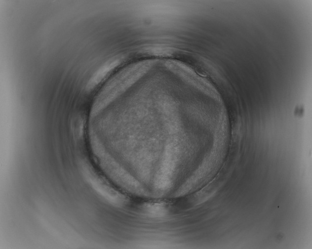 X0000112030120200908241547