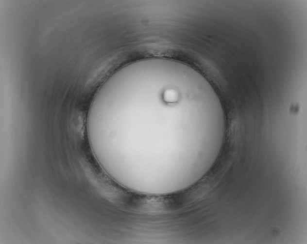 X0000112030121200908241547