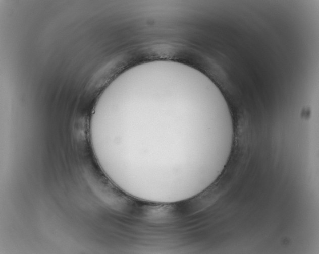X0000112030122200908241547