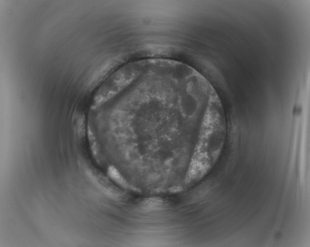 X0000112030123200908241547