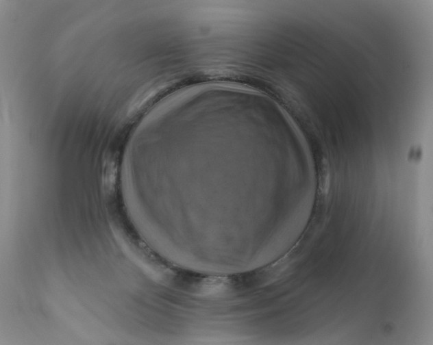 X0000112030124200908241547