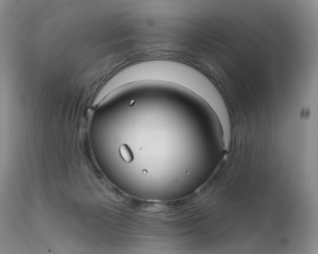 X0000112030125200908241547