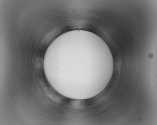 X0000112030126200908241547