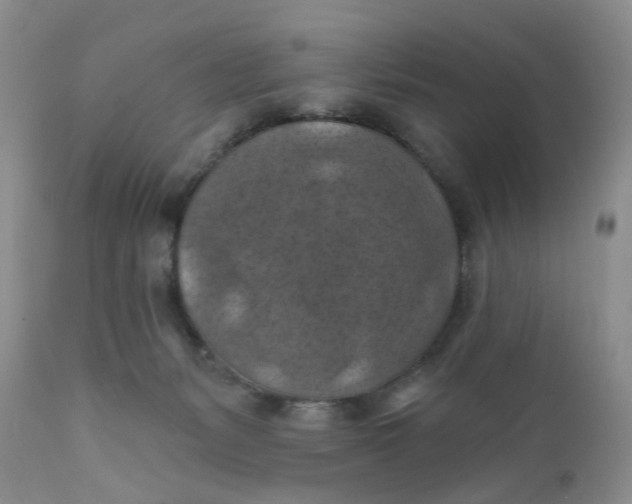 X0000112030127200908241547