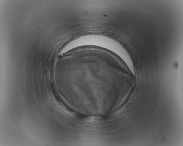 X0000112030128200908241547